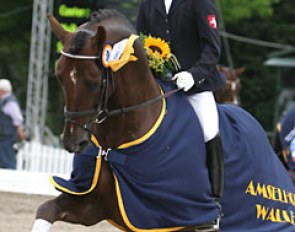 Helen Langehanenberg and Damon Hill