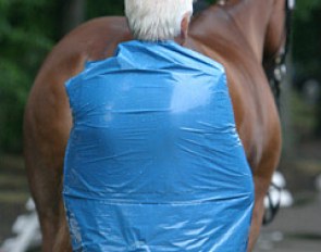 It rained during the 2005 WCYH vet check :: Photo © Astrid Appels