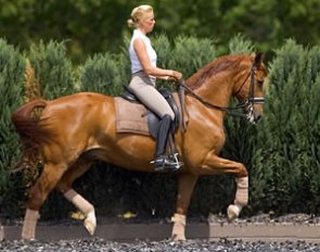 Kebie van der Heijden on Werthino