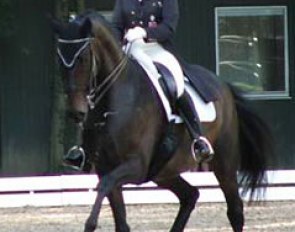 Silvia Ikle and Salieri CH win the 2005 Swiss Championships :: Photo © Noam Netzam