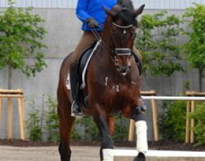 Emma Hindle practising the flying changes on Lancet