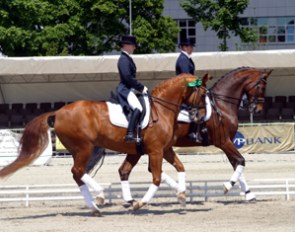 German Young Rider Katharina Birkenholz winning all YR classes in Berne