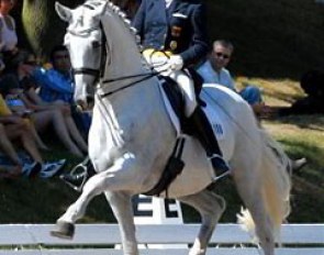 Sarah Garayhi and Scarlatti won the Grand Prix Special with 68.44%. The elegant but difficult stallion Scarlatti has impressive gaits but his rider moves too strongly in the saddle to give an effortless impression during the ride.