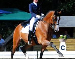 Gina Capellmann-Lutkemeier on Cashmere. Fourth in the Grand Prix with 68.25% and second in the Special with 66.44 %