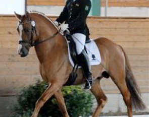 Winning the 5-year old dressage pony test: HB Daylight (by FS Don't Worry) and Miriam Licinio