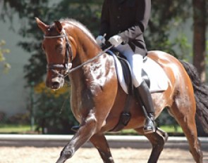 Frank Mohr and Lancelott at the 2006 Bundeschampionate :: Photo © Jan Reumann