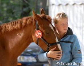 Tired eventers Gemini and Sara Schneemann watch the goings-on in the dressage arena