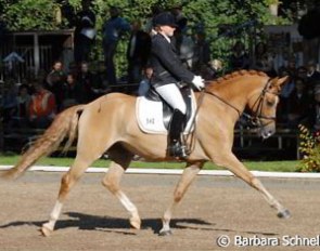 Reserve Champion Der schlaue Fuchs under Michele Schulmerig