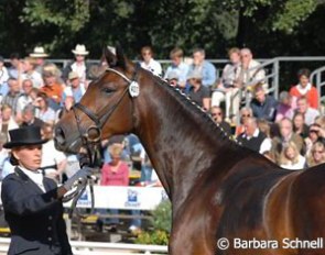 Farina and Peggy Schulz won bronze in the finals for 4-year-old mares & geldings