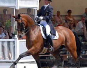 Alexandra Simons-De Ridder on Wellington