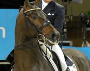 Oliver Luze on Tannenhof's Carabas