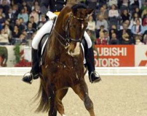 Andrea Timpe on Welttender