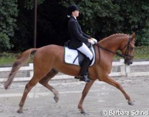 Verena Leuchten on Don't Thatch