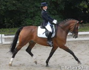 Verena van der Linde on Mitchell