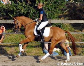 Dornik Double's full brother
