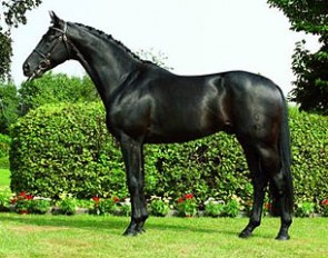 Soprano (by Sandro Hit x Contender)