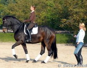 Haydeen Wells-Parmenter aboard La Picolina, training piaffe with Britta Schoeffmann