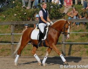 Ann Kathrin Piolot on Der Harlekin B