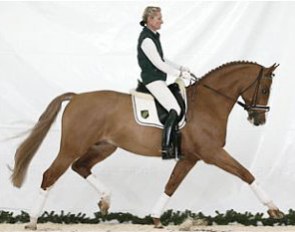 Petra Wilm on Almoretto