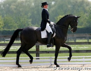 Sophie Baetens and Dark Diamant at the 2006 CDI Hansbeke :: Photo © Astrid Appels
