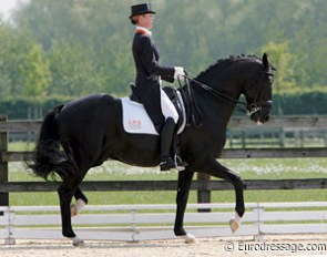 Painted Black: no understep whatsoever, but instead pulling the hocks high in the passage