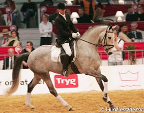 Donna Silver became the price highlight of the 2006 Danish Warmblood Auction :: Photo © Astrid Appels