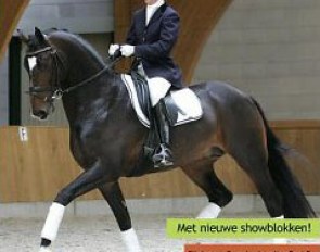 Mirelle van Kemenade on Vivaldo