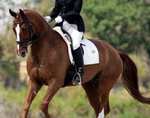 Diane Creech and Devon L at the 2006 Palm Beach Dressage Derby :: Photo © Phelpsphotos.com