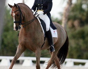 Ashley Holzer and Pop Art at the 2006 Palm Beach Dressage Derby :: Photo © Phelpsphotos.com
