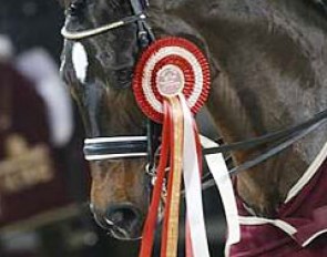 Sunrise Wins a Big Ribbon at the 2006 CDI-W Mechelen :: Photo © Dirk Caremans