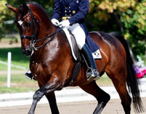 Jon Costin and Wholio at the 2006 CDI Ottawa :: Photo © Robert Alford