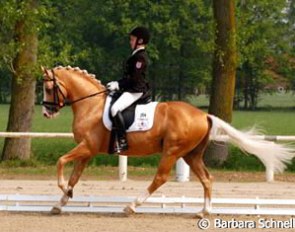 Sönke Rothenberger on Deinhard B