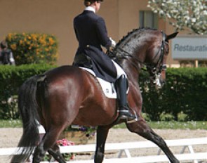 Emma Hindle and Lancet in a lovely trot half pass
