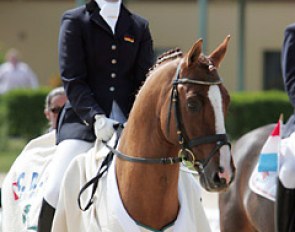 The Grand Prix might have been the most "important" class, but the most fun one was definitely the FEI pony tests. The kur was won by Licinio on Don't Worry