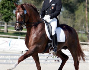 Spanish Jose Antonio Garcia Mena is competing his first warmblood in his career. Bernstein Las Marismas, owned by Eduardo and Yvonne Muniz, is in training with Garcia Mena and Jan Bemelmans.