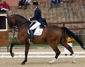 Alexandra Simons-De Ridder on Wellington