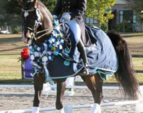 Jody Hartstone and Landioso win the 2006 New Zealand Dressage Championships