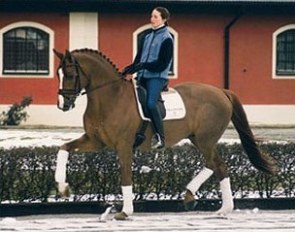 Minna Telde riding Don Charly at home at Tullstorp Stables