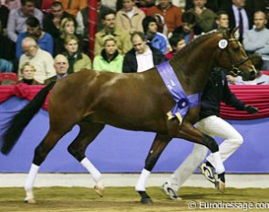 2006 OS licensing champion Ludwigs Champion (by Ludwig von Bayern x Argentinus)