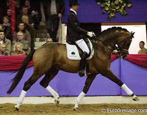 Hans Peter Minderhoud on Johnson :: Photo © Astrid Appels