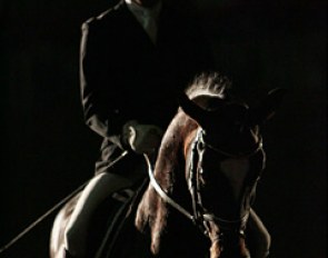 Dr. Ulf Möller and Sir Donnerhall in the limelight :: Photo © Astrid Appels