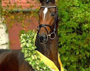 Lauda (by Lauries Crusador xx x Raphael)