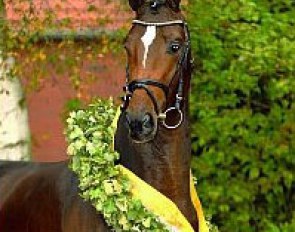 Lauda (by Lauries Crusador xx x Raphael)