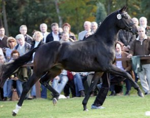 Wizenzo (by Wolkentanz I x Sherlock Holmes)