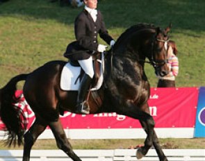 Rosevelt at the 2006 Hanoverian Championship in Verden :: Photo © Astrid Appels