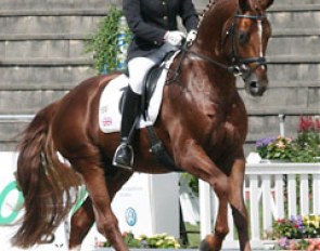 Susan Pape-Draper on Riverside (by Regazzoni x Donnerhall)