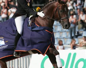 A big pat for Damon Hill (by Donnerhall x Rubinstein)