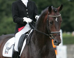Nicole Kochskamper on Danone I (by Donnerhall x Weltmeyer)