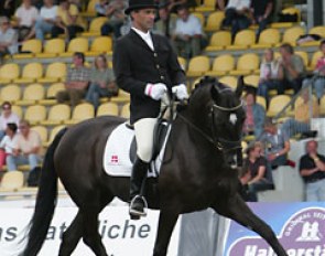 Grecian born Dane Michael Liocouras on Heterosis Nord (by Hohenstein x Dolomit) :: Photo © Astrid Appels