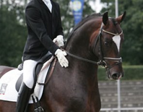 Dr. Ulf Möller on Sir Donnerhall :: Photo © Astrid Appels